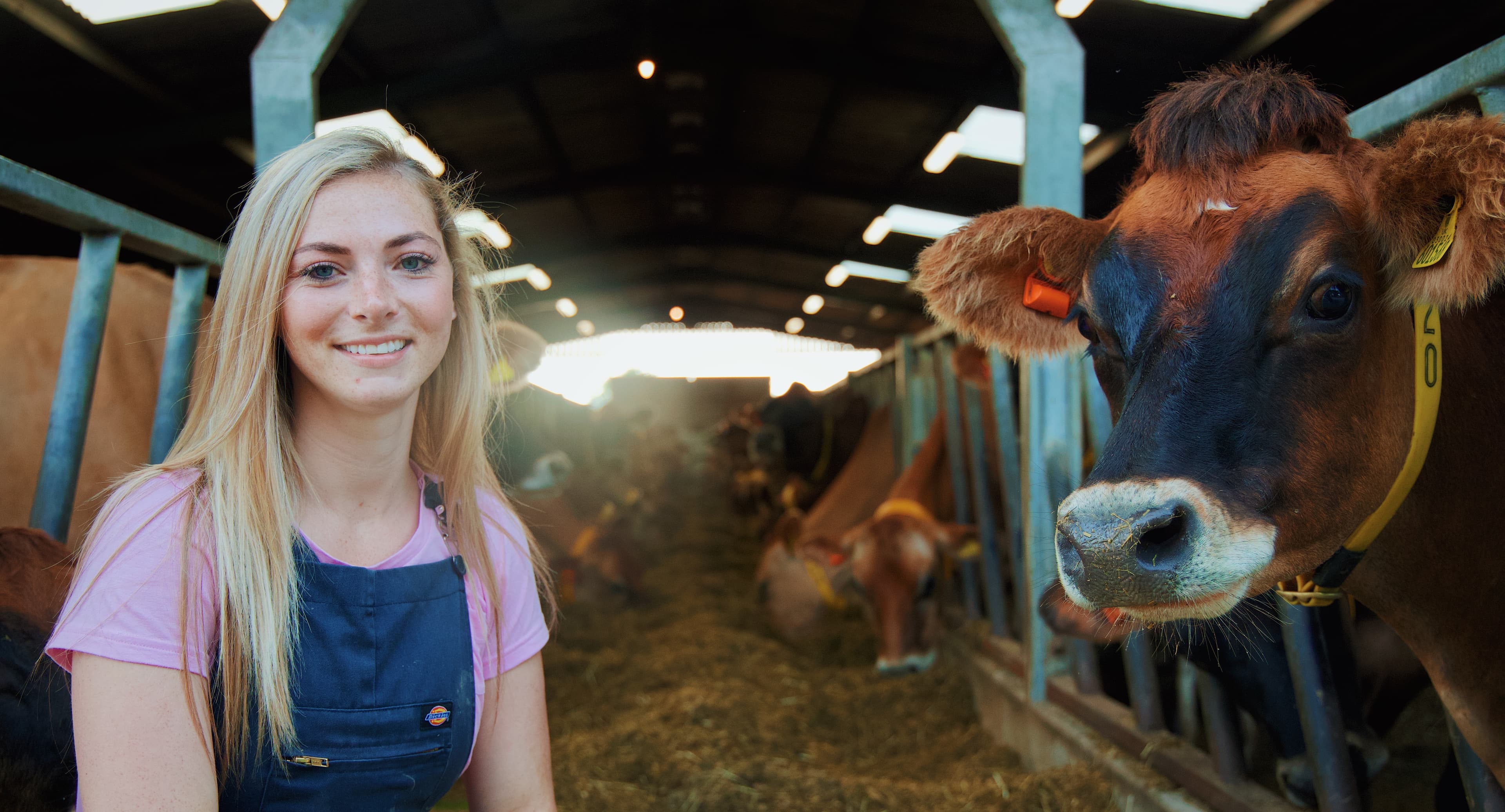 Becky Houzé 🐮