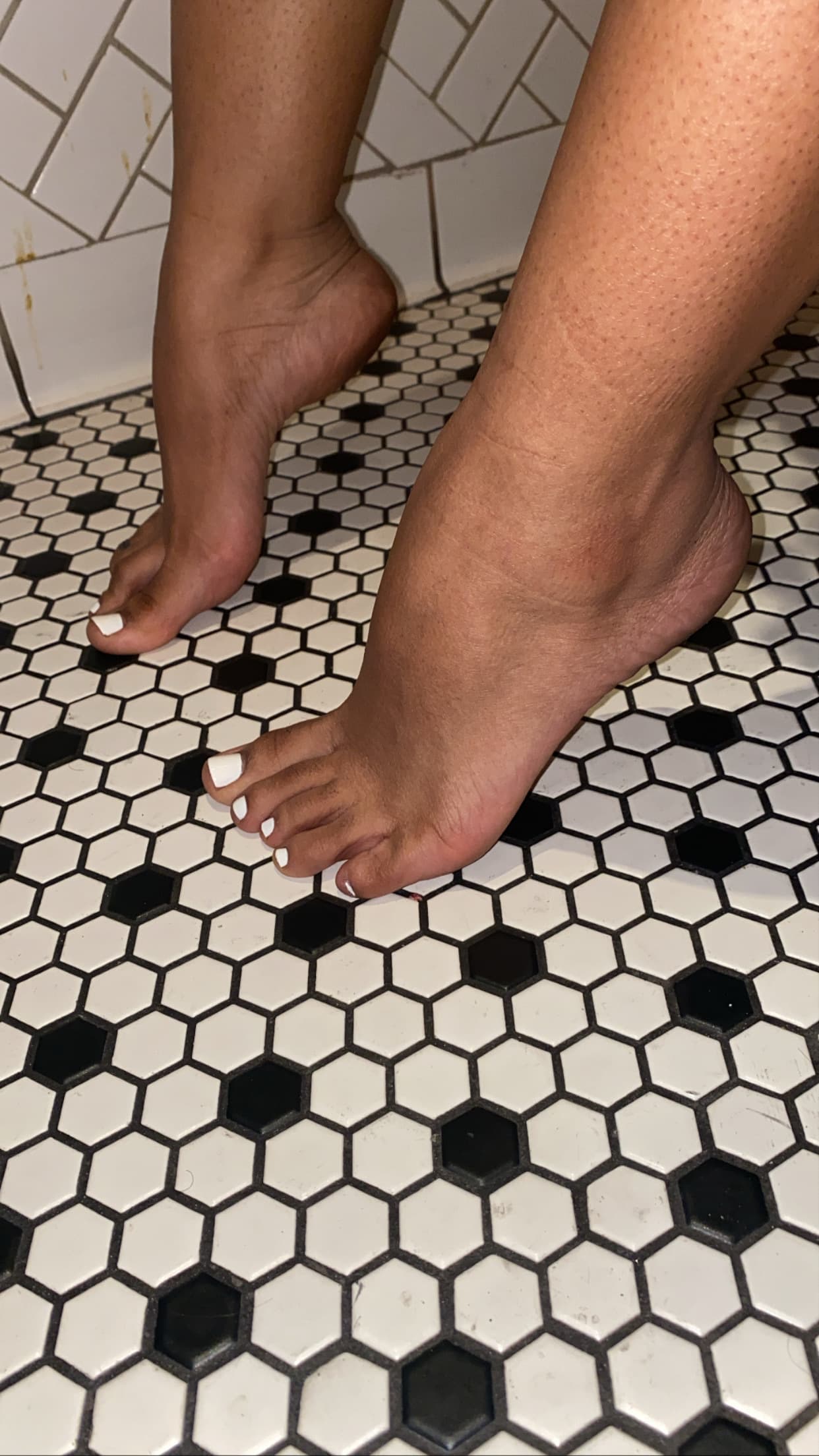 Foot Model