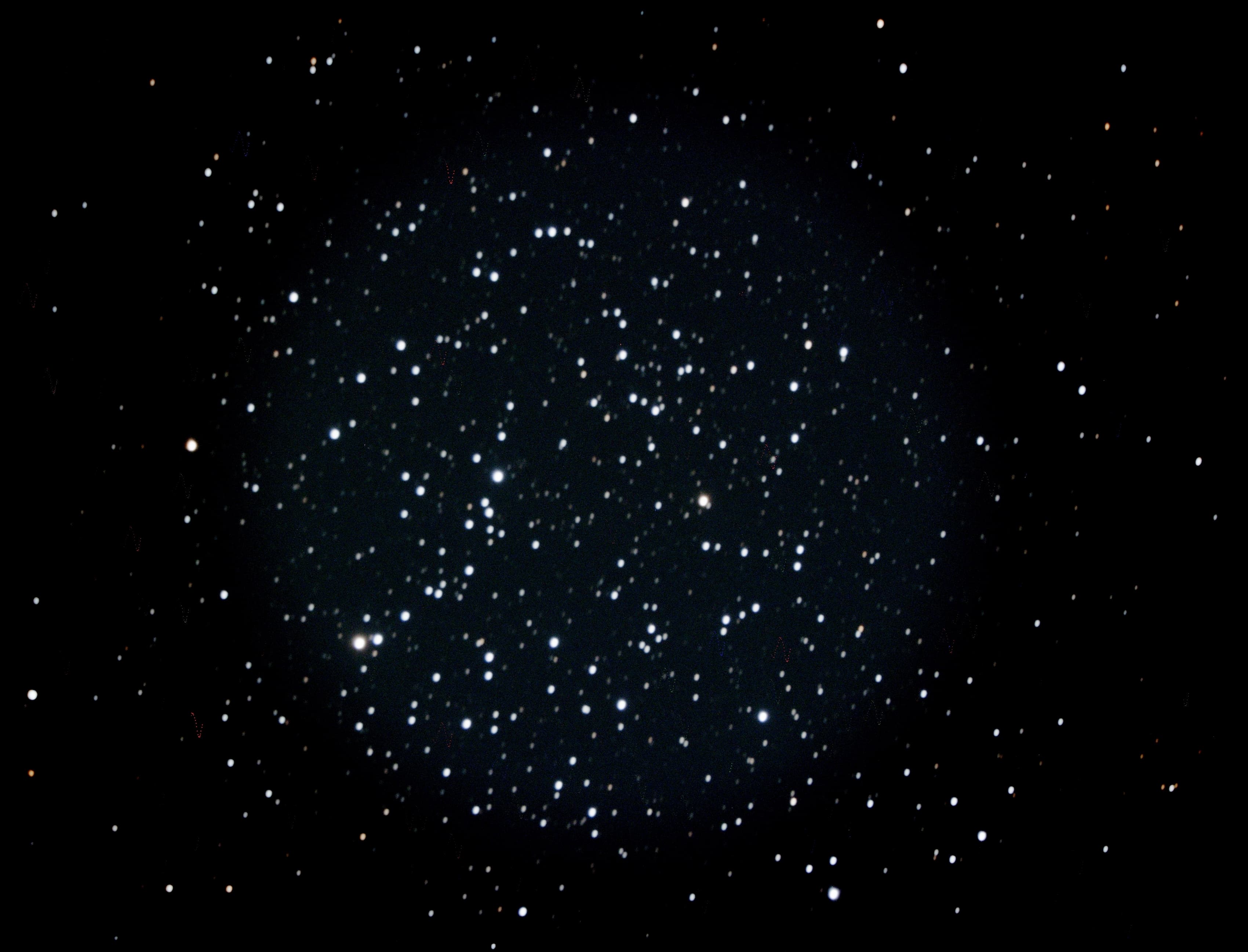 Andromeda Persephone