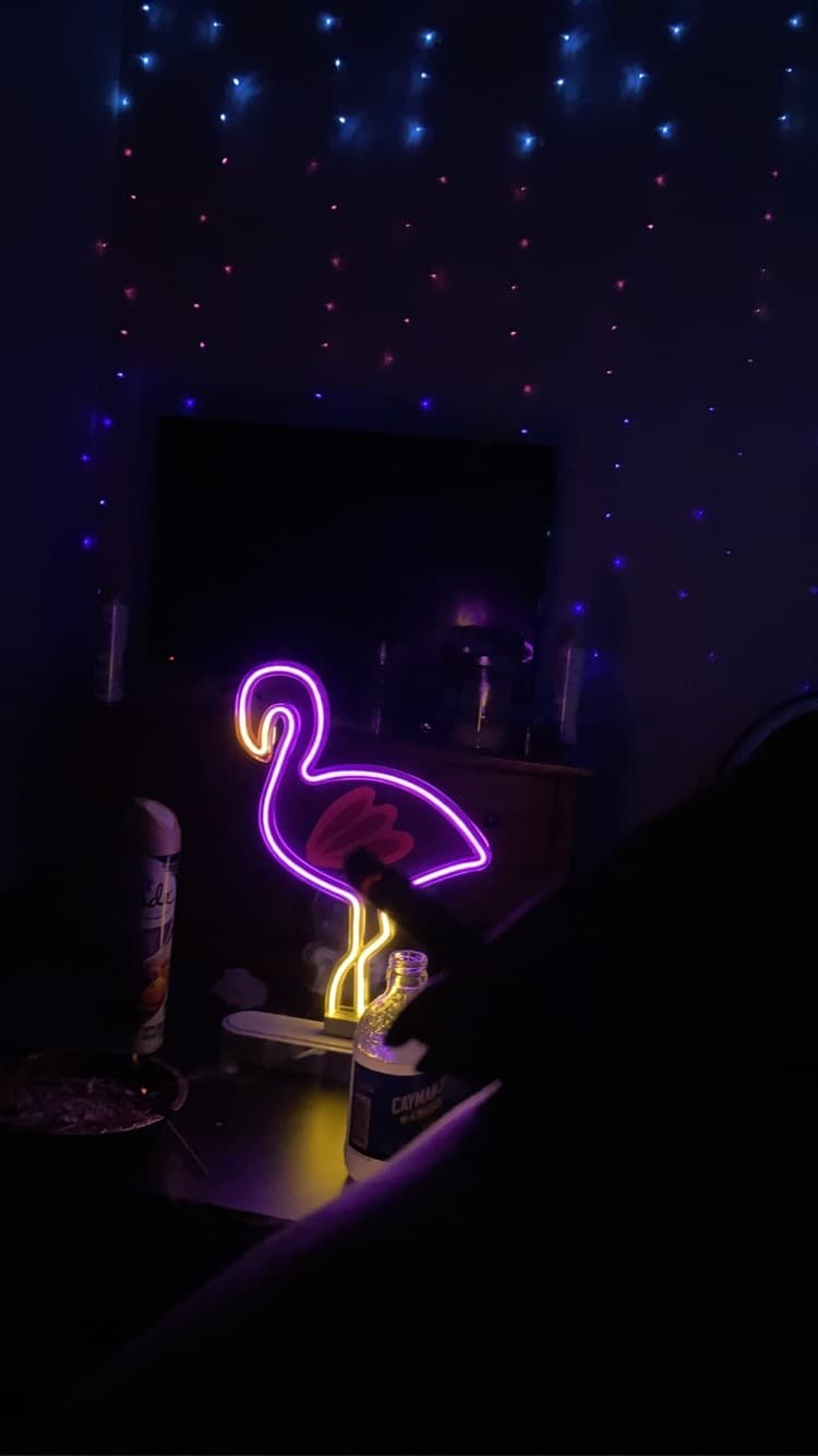 Mina Bo Nina
