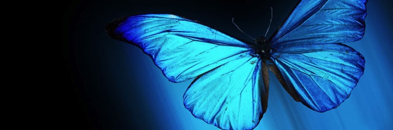 🦋Natasha Jade🦋