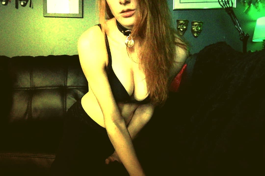 Gingy