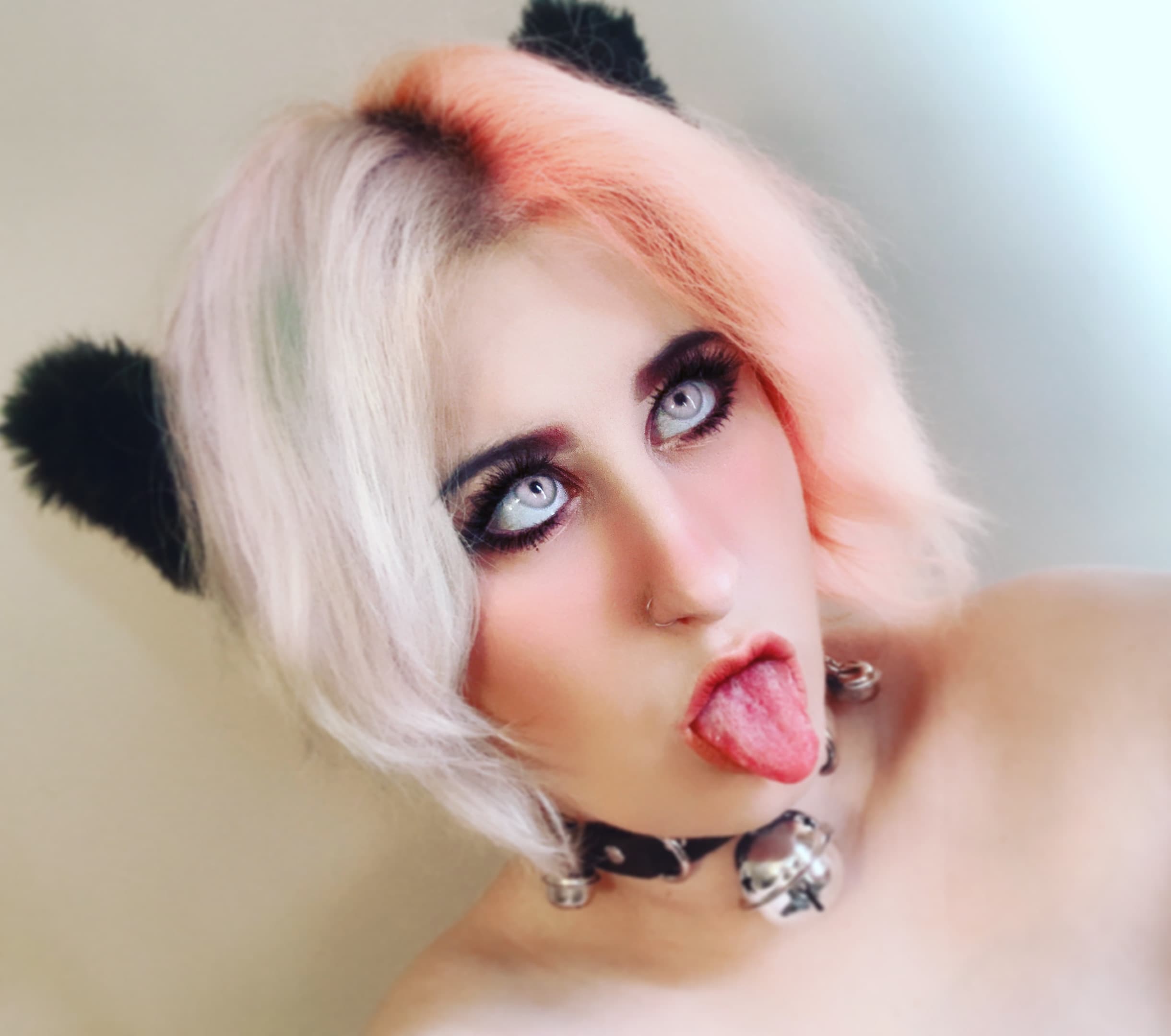 Sugar Madison Draper